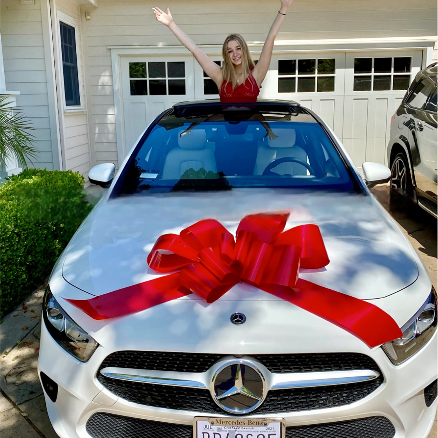 30" Jum-Bows Great Gift Polypropylene Giant Car Bow - Image 10