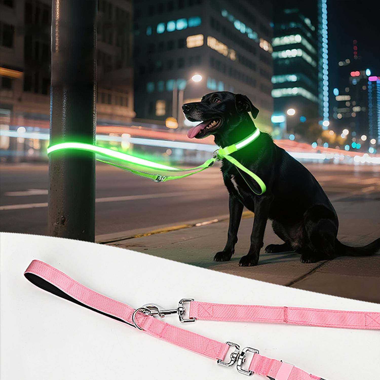 Glowing LED Pet Collar Leash - Image 6